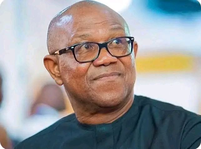Anyone Who Rigs Election Under Me Will Go To Jail - Peter Obi Vows Ahead Of 2027